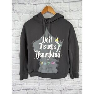 Disney 100 anniversary Disneyland Tinkerbell Graphic Hoodie Sweatshirt Size S